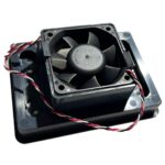 LION 2 | Motor
